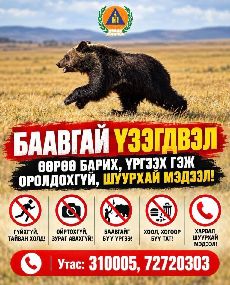 СЭРЭМЖЛҮҮЛЭГ: НИЙСЛЭЛИЙН НОГООН БҮС, ЗУСЛАНГИЙН ЧИГЛЭЛД ОРШИН СУУЖ БУЙ ИРГЭДИЙН АНХААРАЛД